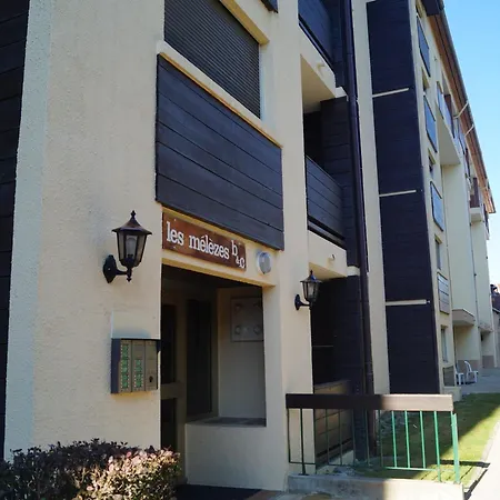 T2 Duplex A Avec Parc Privatif Arbore En Centre-ville - Fr-1-165a-38 *
